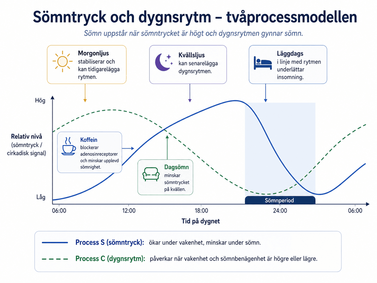 Sömntryck och dygnsrytm – tvåprocessmodellen