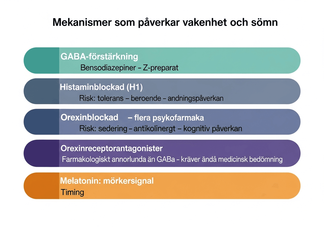 Mekanismer som påverkar vakenhet och sömn: GABA, histamin, orexin och melatonin