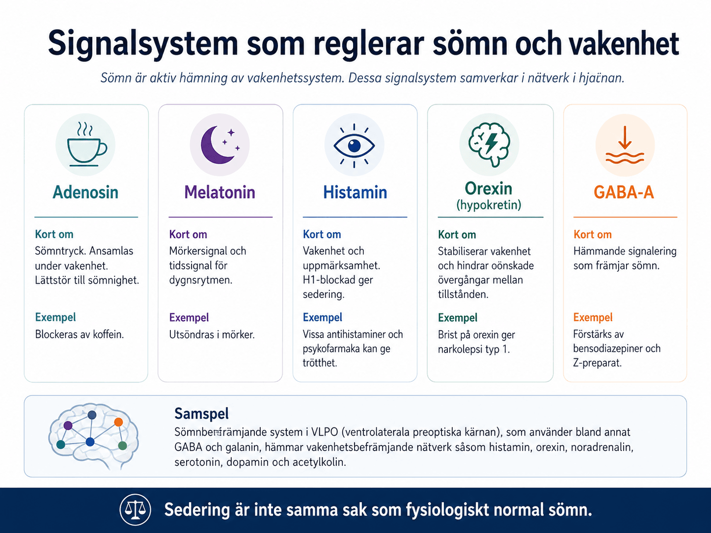 Signalsystem som reglerar sömn och vakenhet