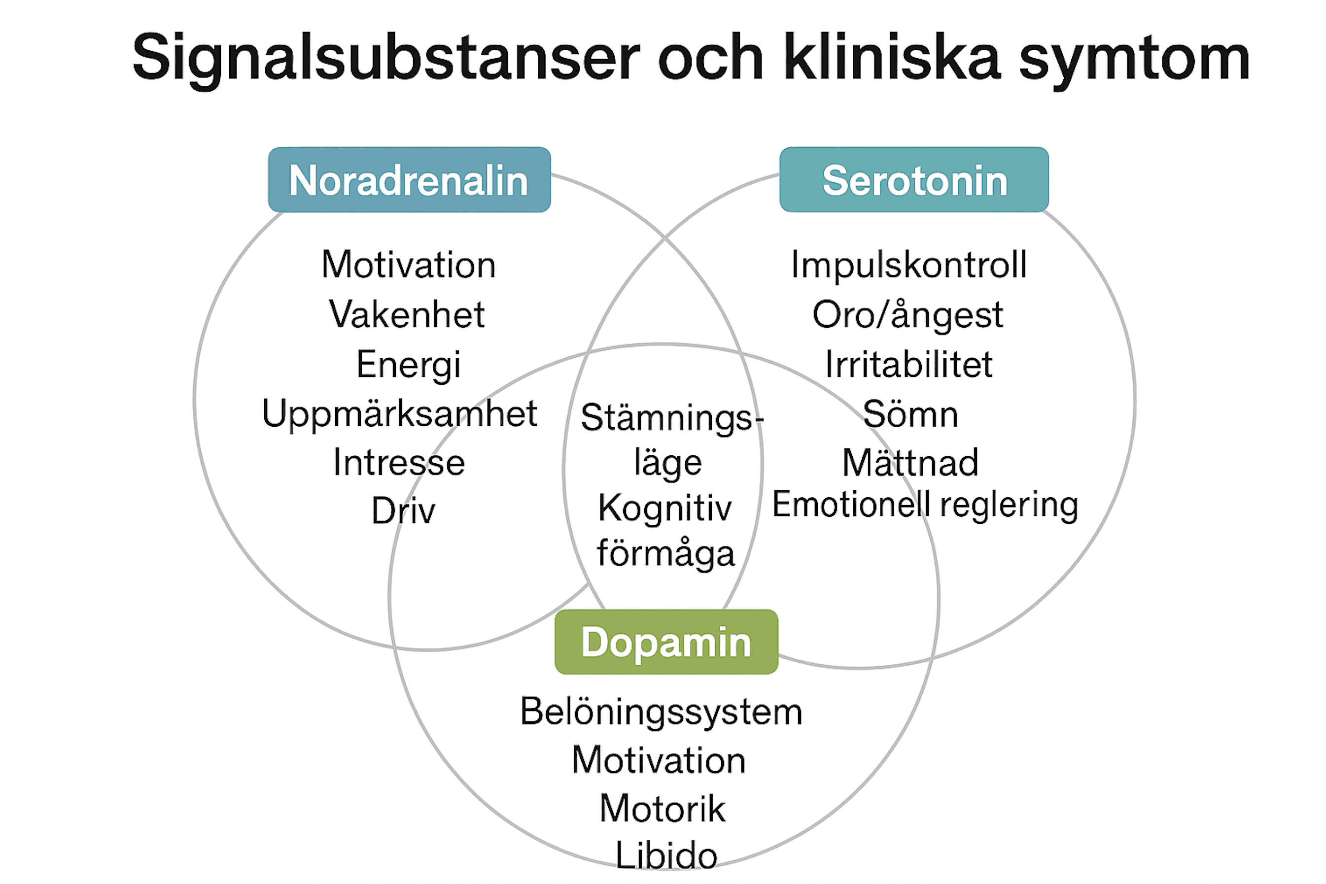 Venn-diagram över serotonin, noradrenalin och dopamin med kopplade kliniska funktioner